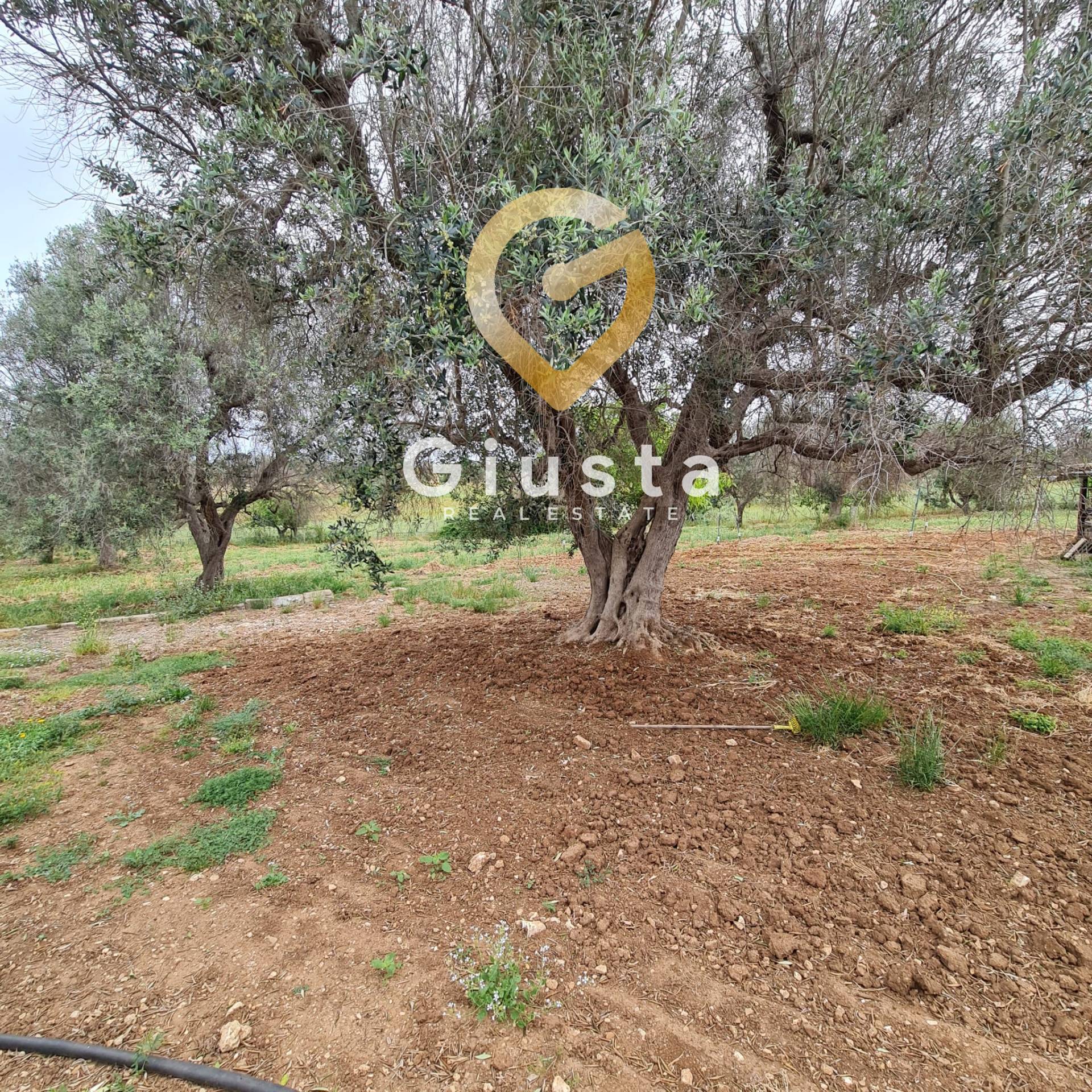 Villa o villino in vendita a San Vito dei Normanni