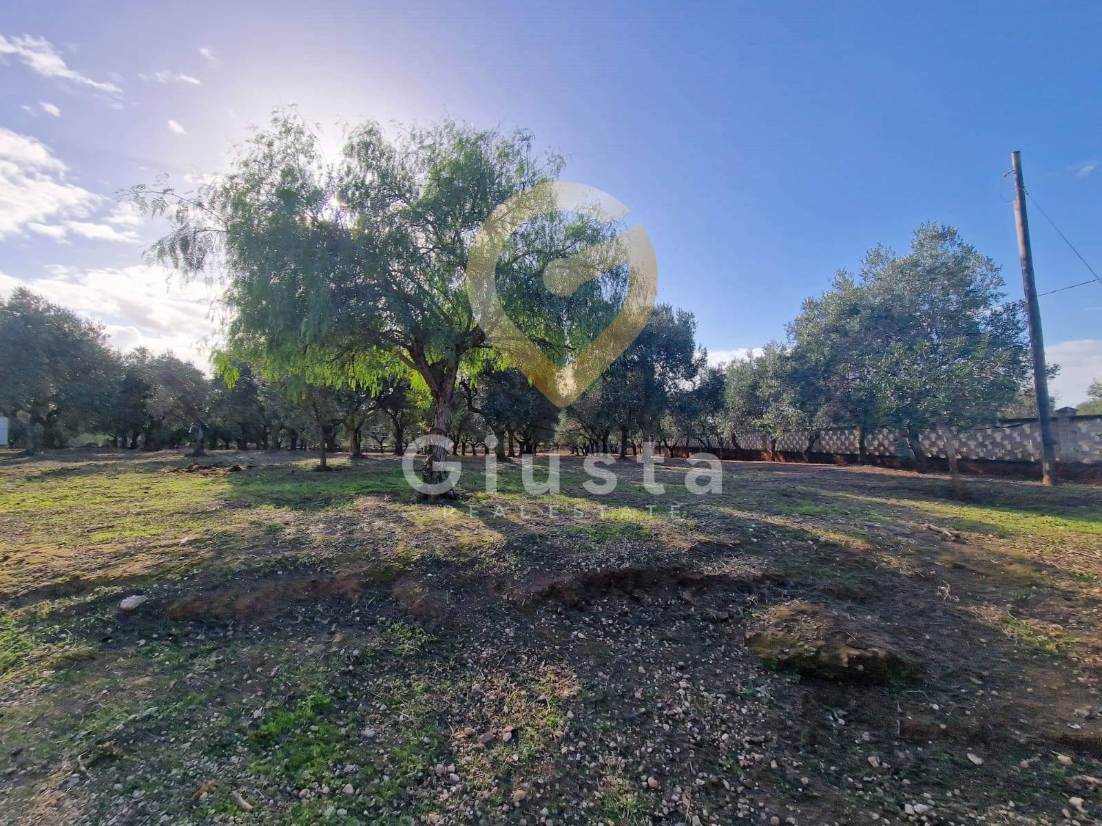 Villa singola in vendita a Carovigno, Serranova