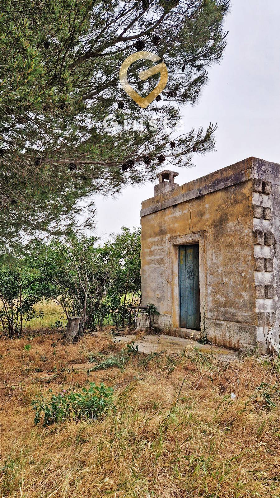 Terreno in vendita a Mesagne