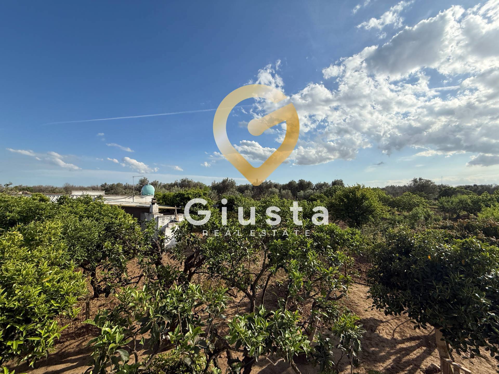 Villa o villino in vendita a Mesagne