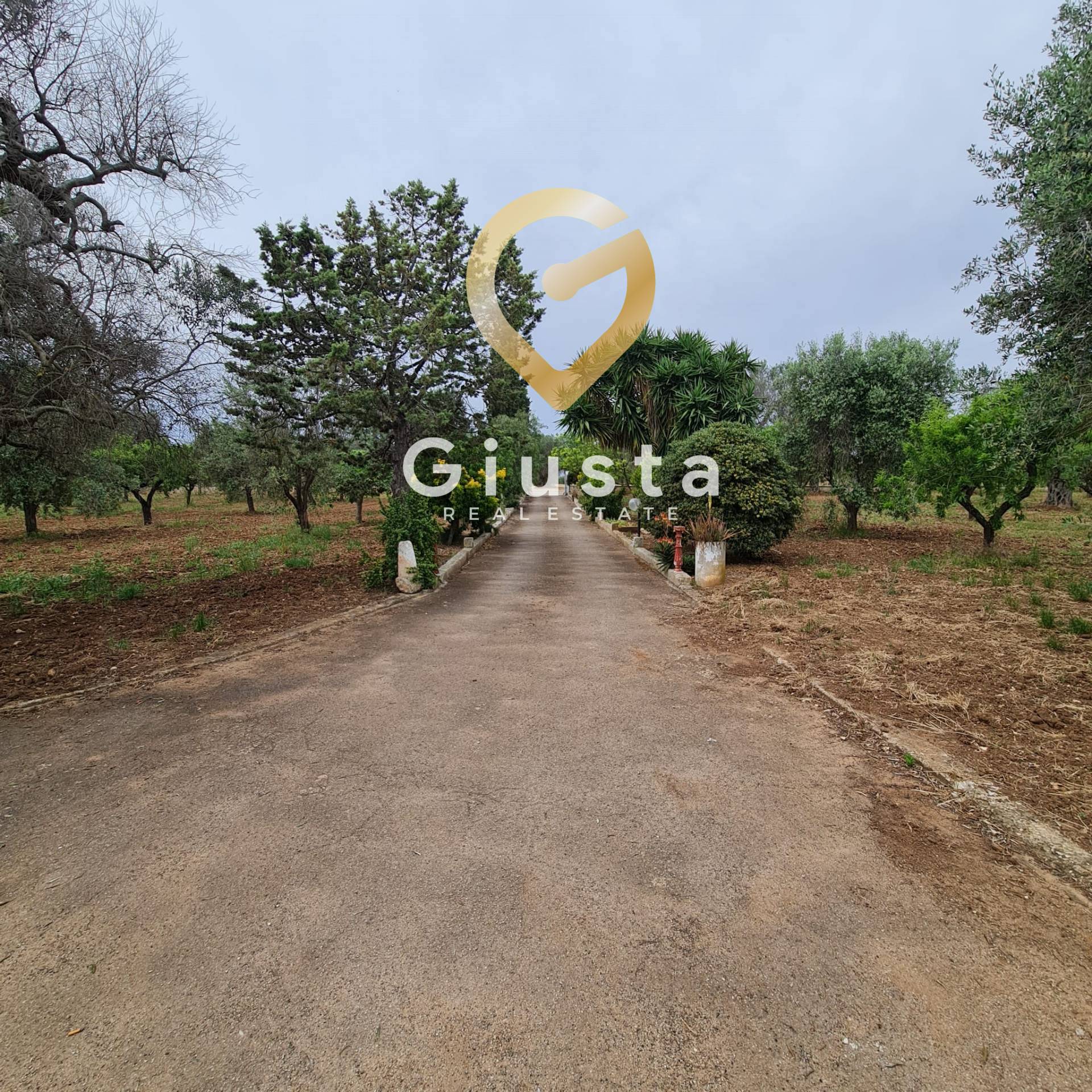 Villa o villino in vendita a San Vito dei Normanni