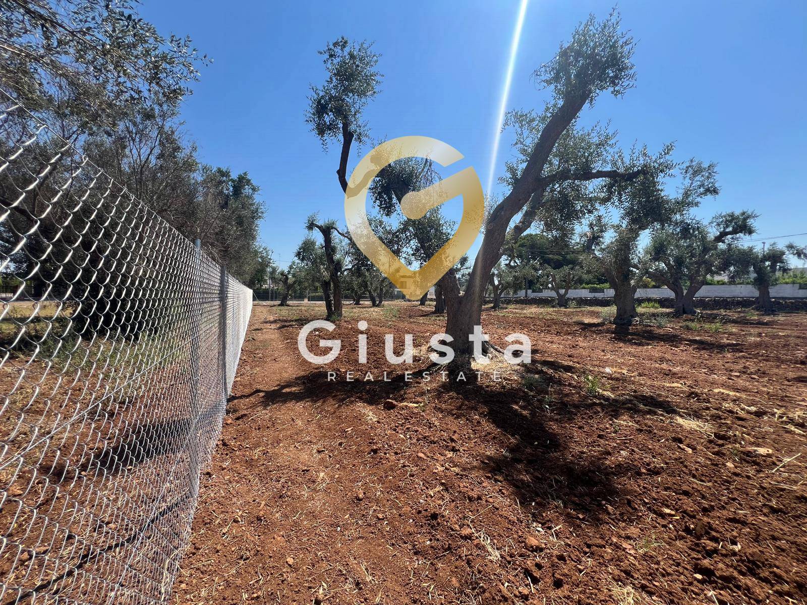 Terreno Edificabile in vendita a Mesagne