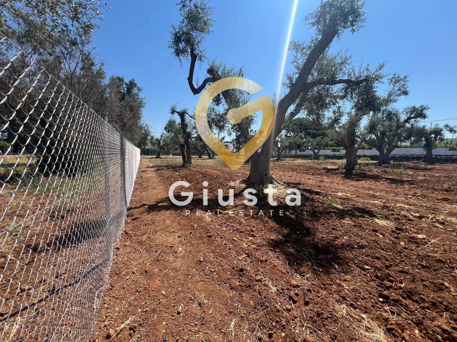 Terreno Edificabile in vendita a Mesagne