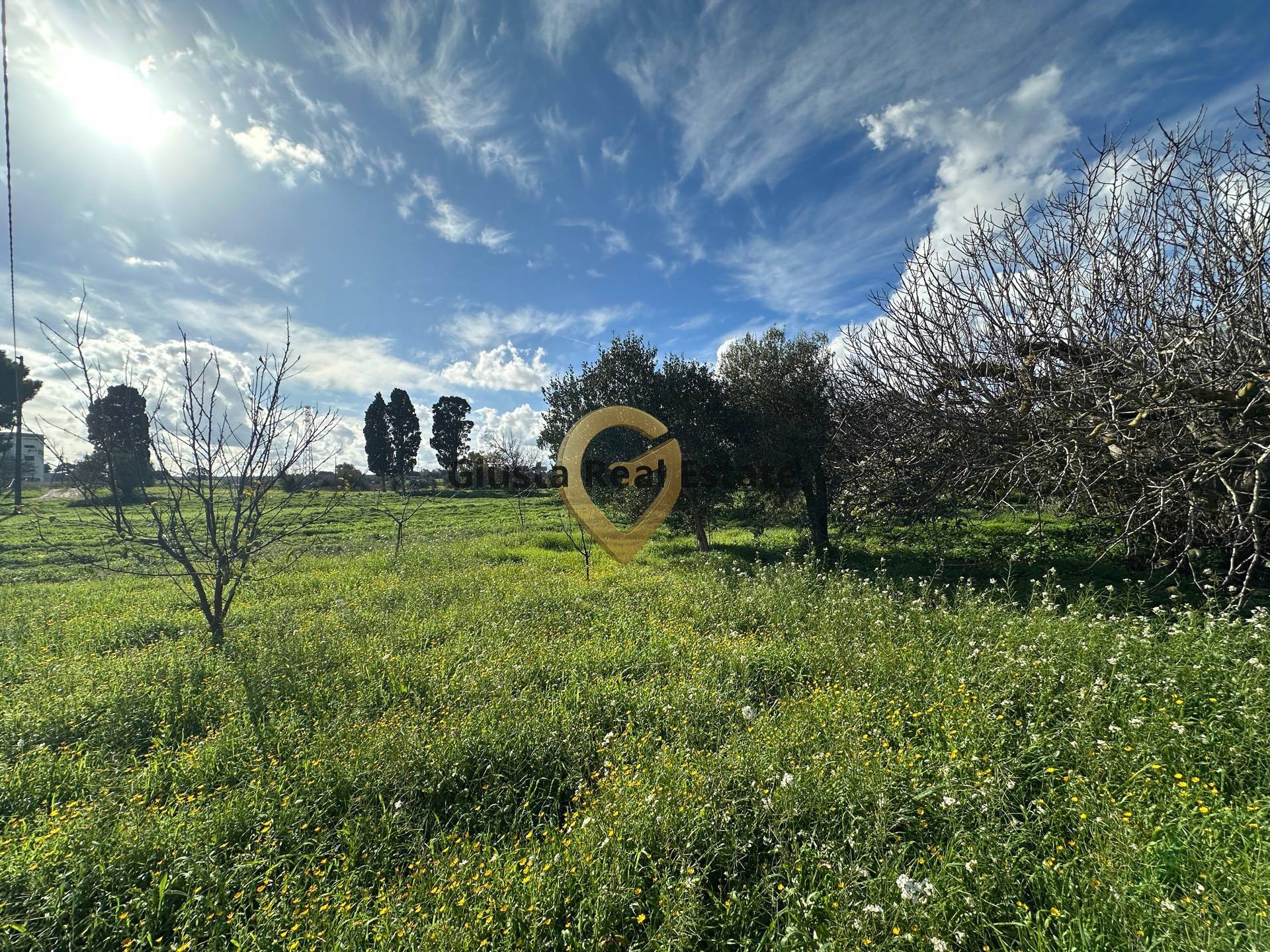 Rustico in vendita a Brindisi, Giancola