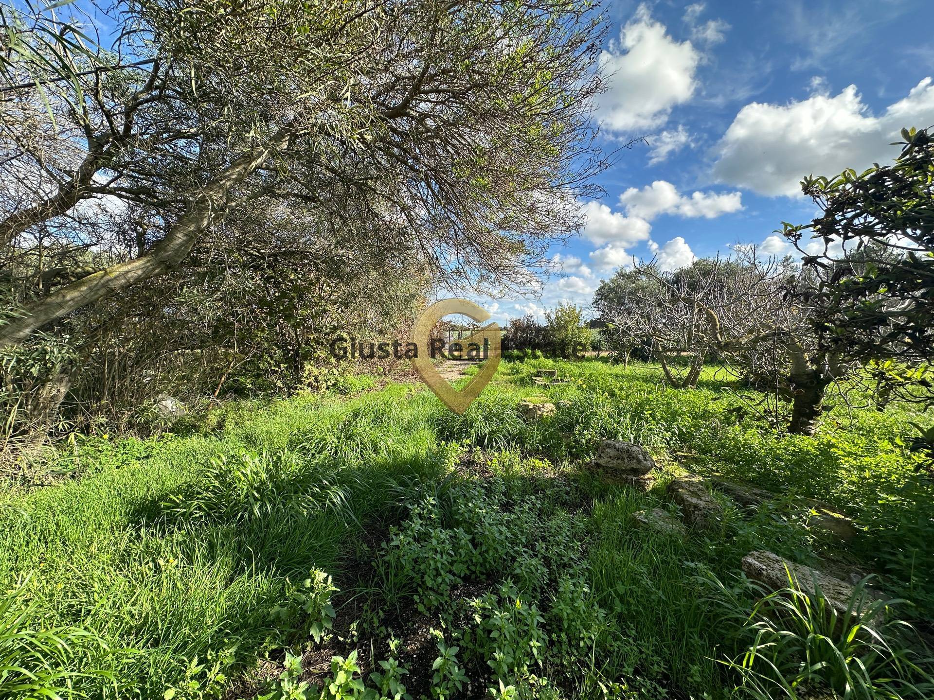 Rustico in vendita a Brindisi, Giancola