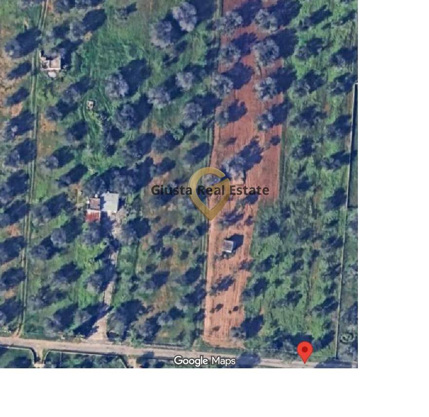 Terreno Edificabile in vendita a San Vito dei Normanni
