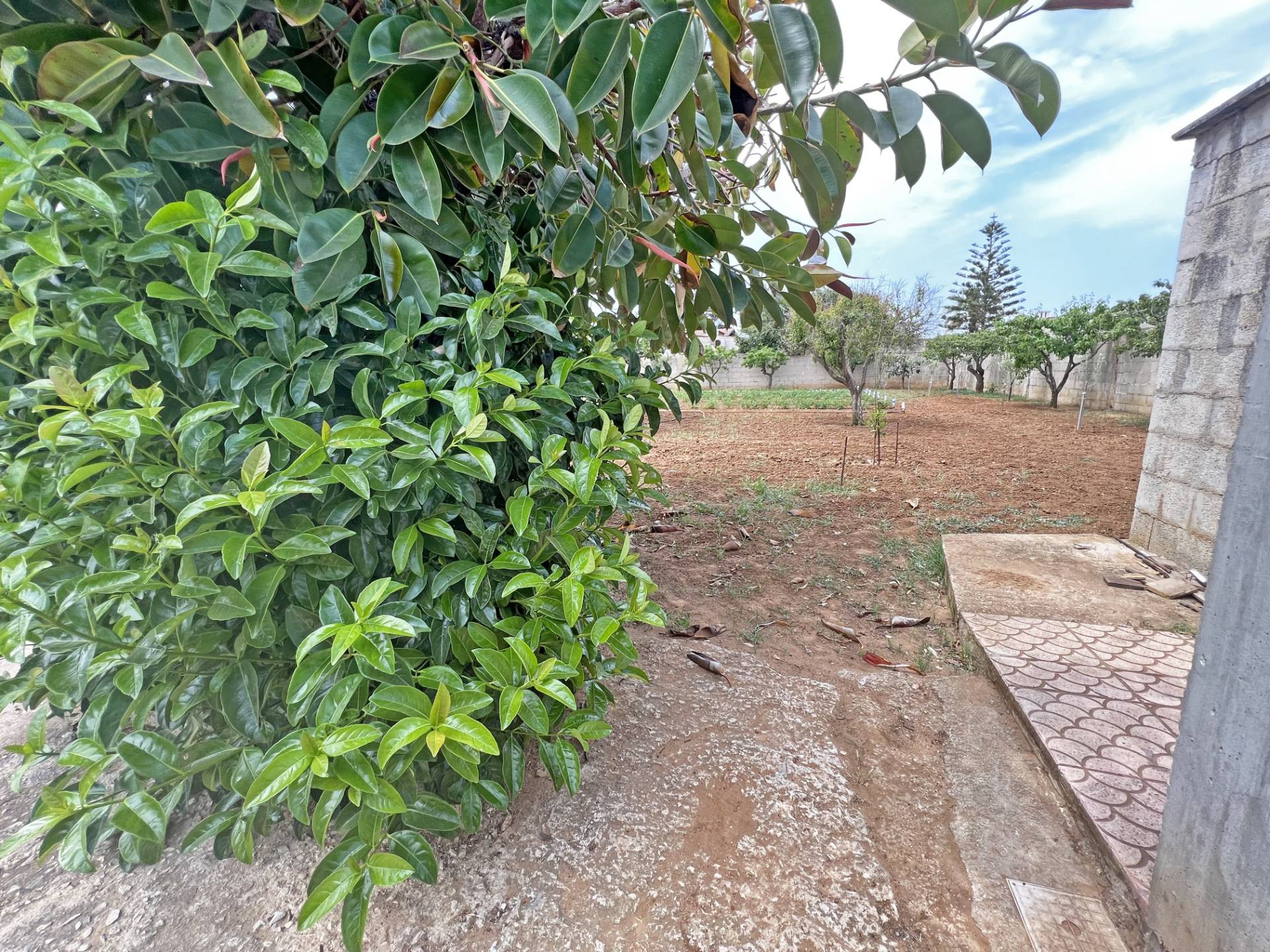 Villa o villino in vendita a Brindisi, Zona Sciaia-Materdomini