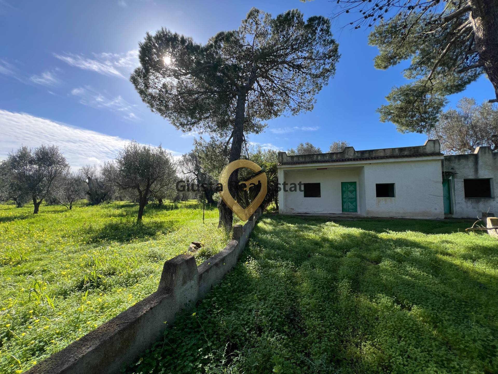 Villa o villino in vendita a Mesagne