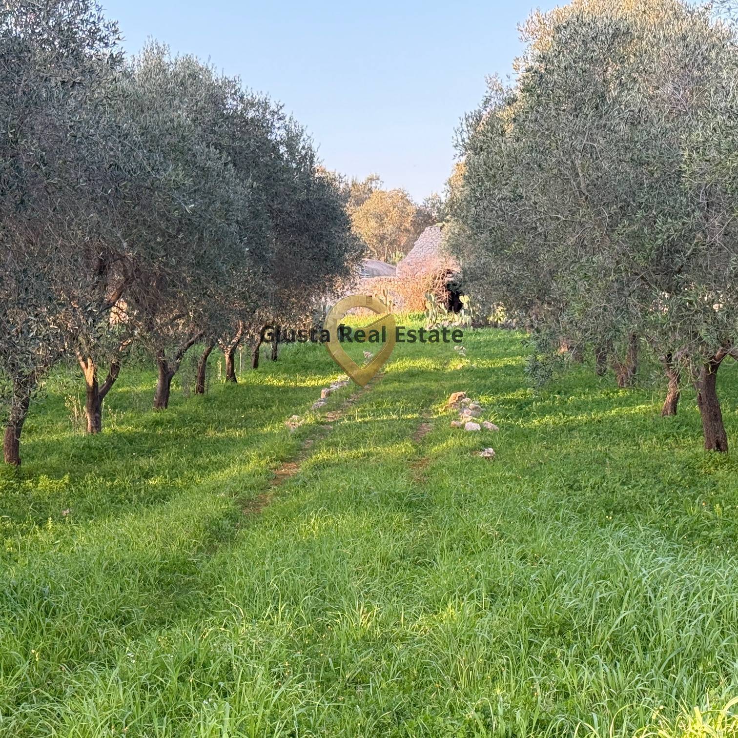 Baita/Chalet/Trullo in vendita a San Michele Salentino