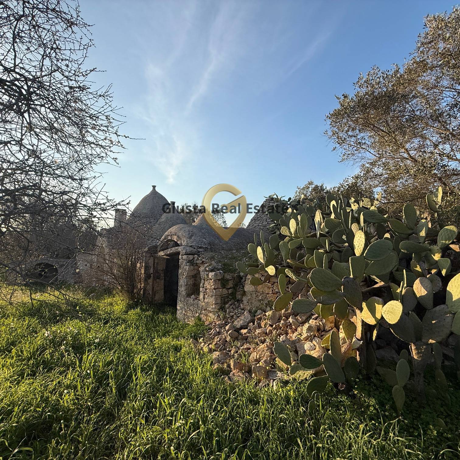 Baita/Chalet/Trullo in vendita a San Michele Salentino