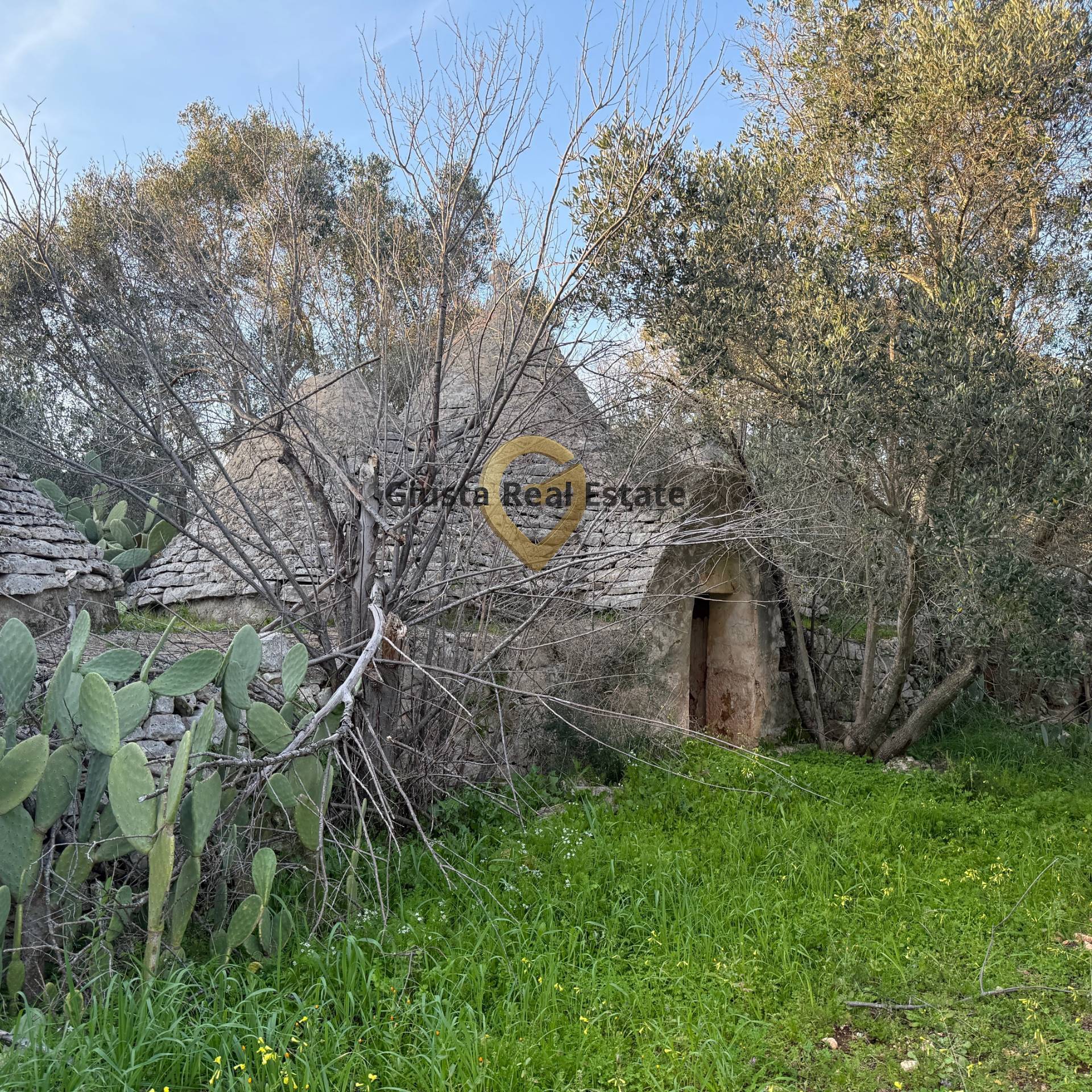 Baita/Chalet/Trullo in vendita a San Michele Salentino