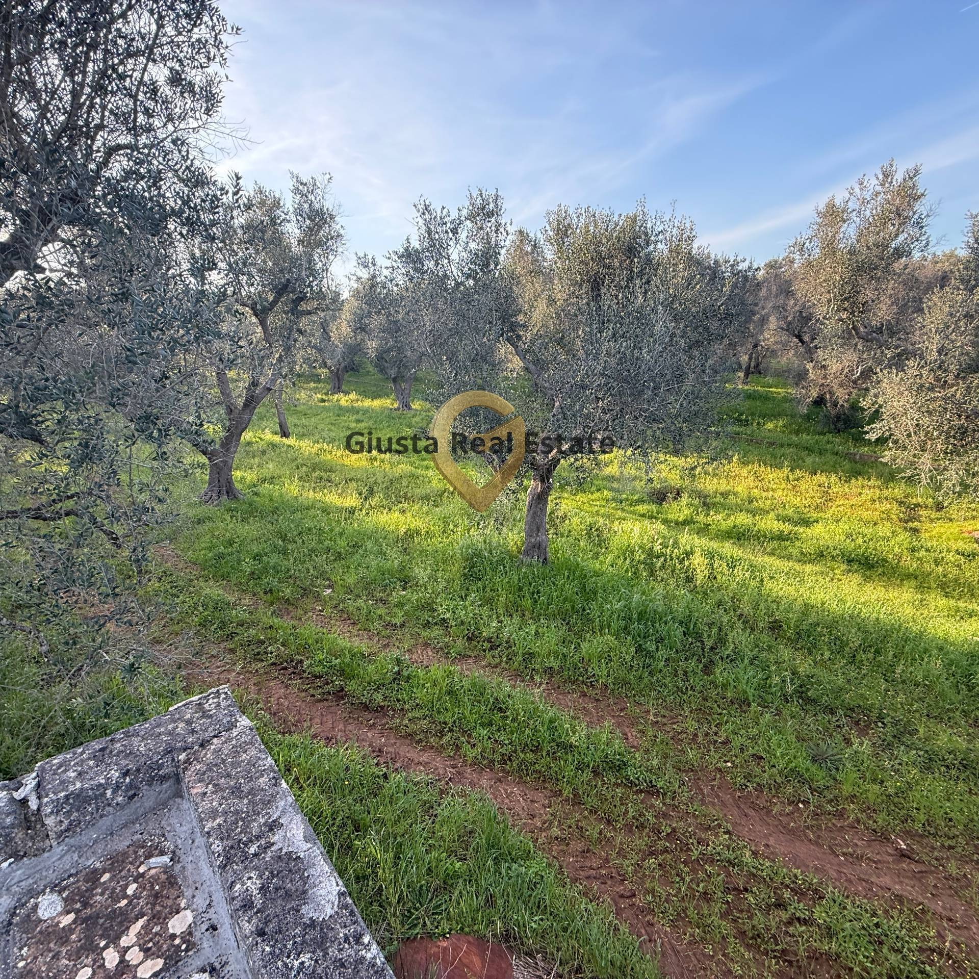 Villa o villino in vendita a Latiano