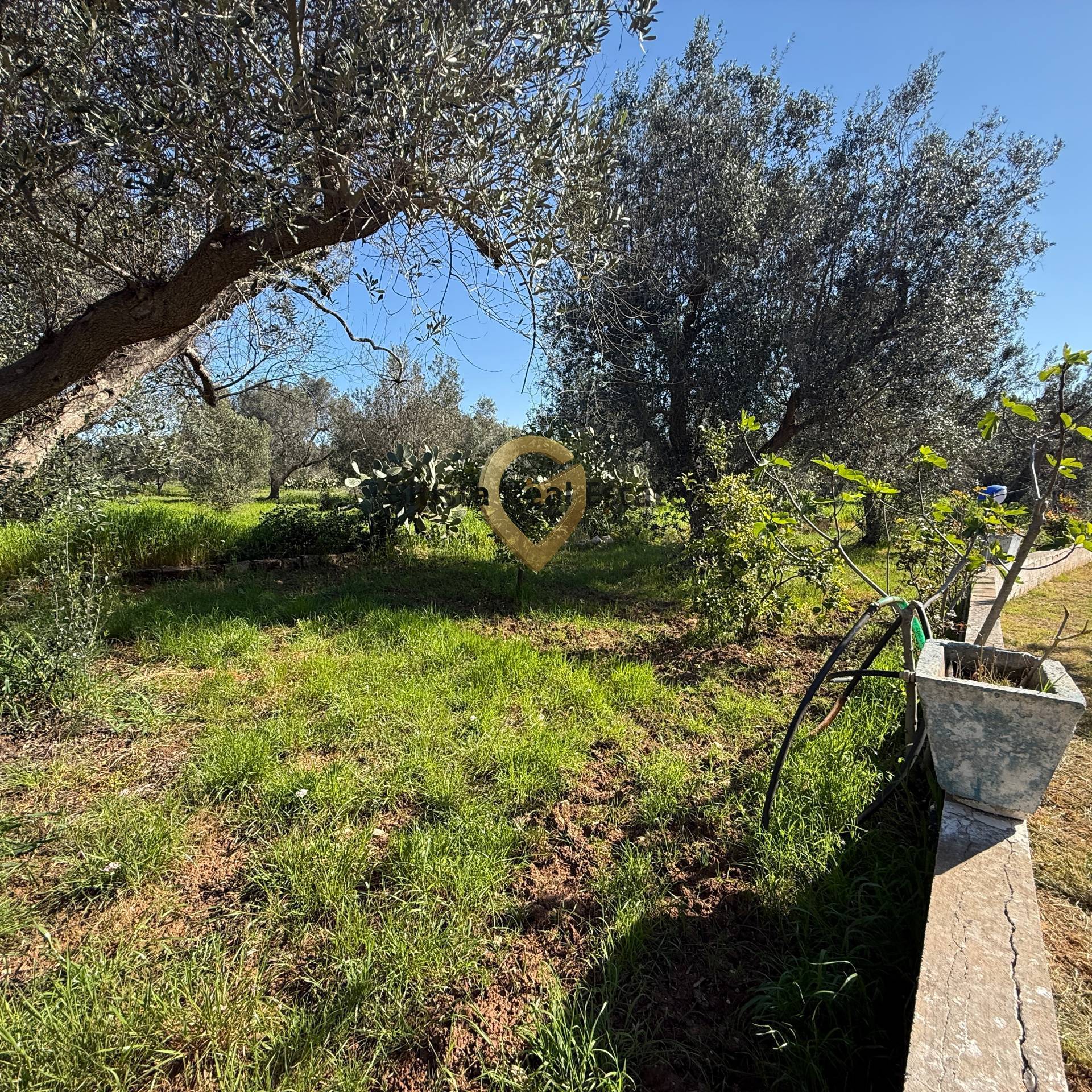 Villa o villino in vendita a Latiano