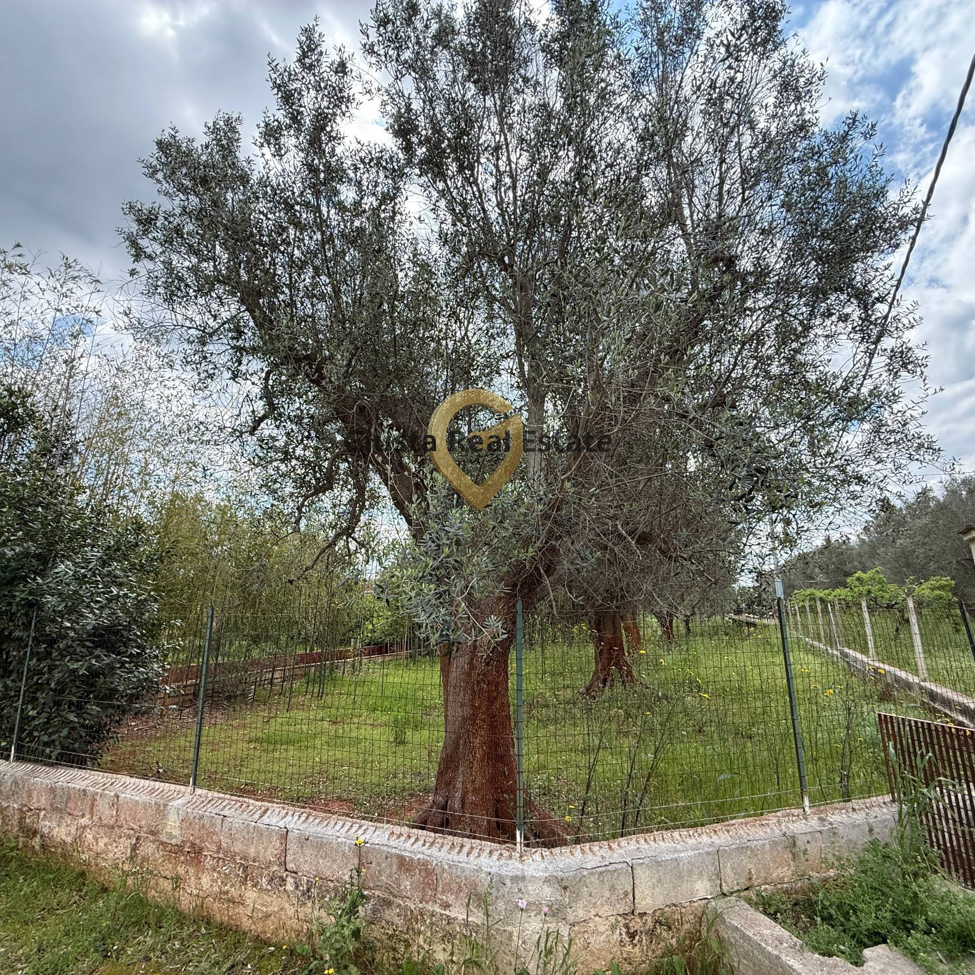 Villa o villino in vendita a Latiano