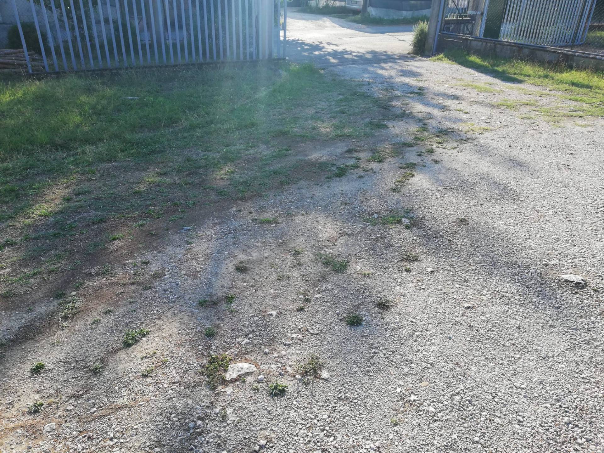 Fondo Artigianale in affitto a Certaldo