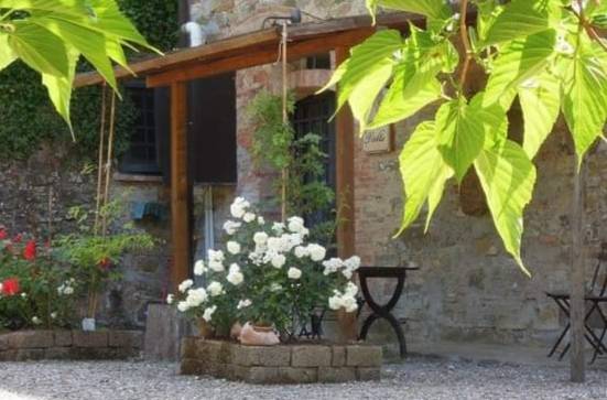 Appartamento in affitto a Montaione