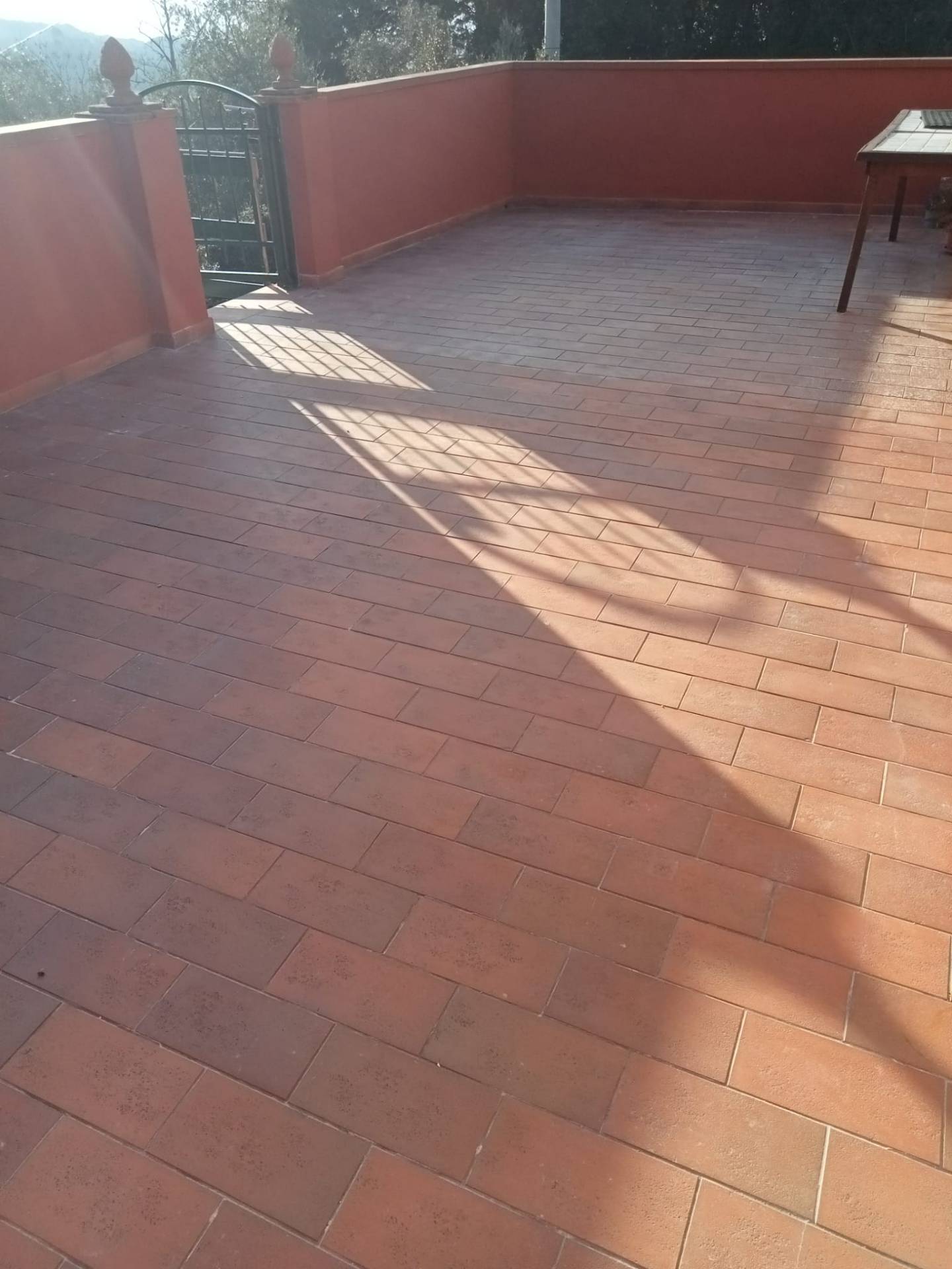 Casa semi indipendente in affitto a Montaione