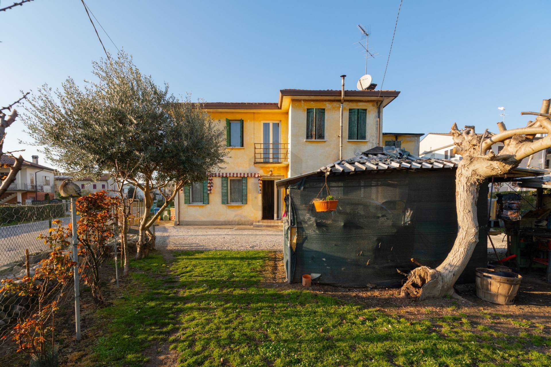 immagine annuncio 1 di 8