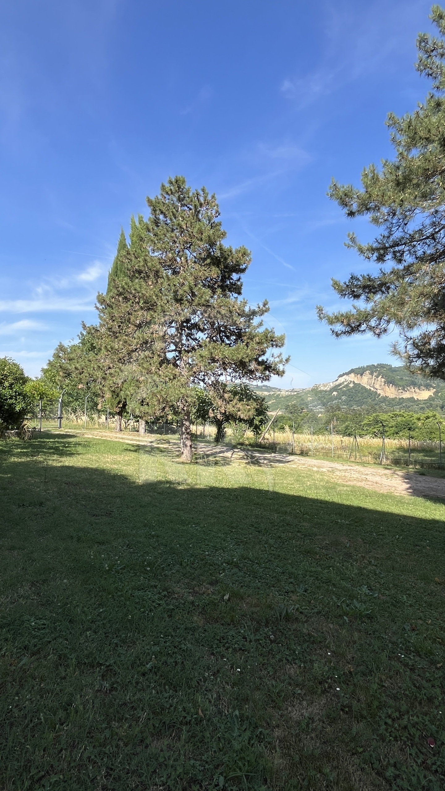 Appartamento con giardino in via del chi� 11, Sasso Marconi