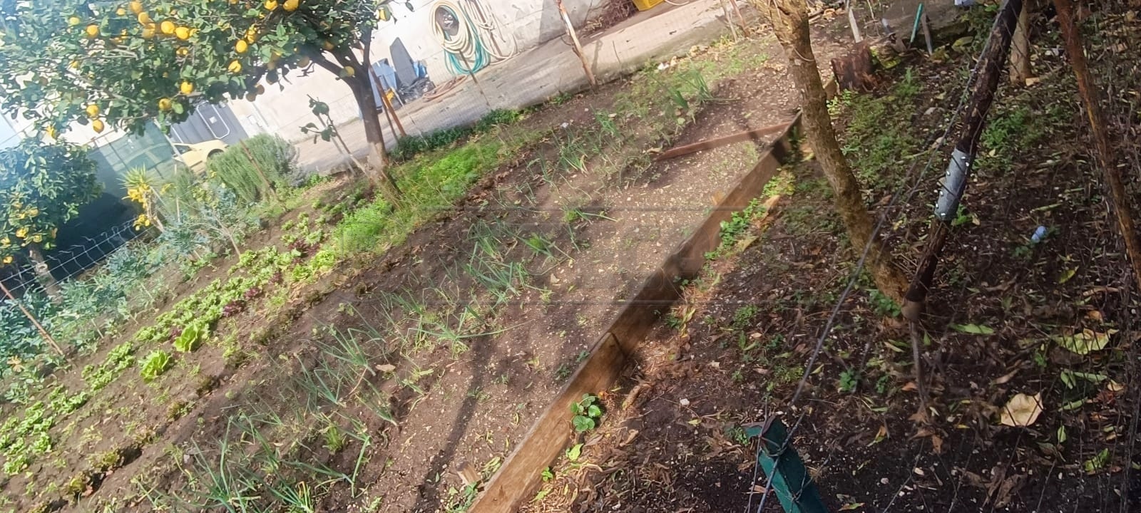 Terreno Industriale in vendita in via pisa, Marcianise