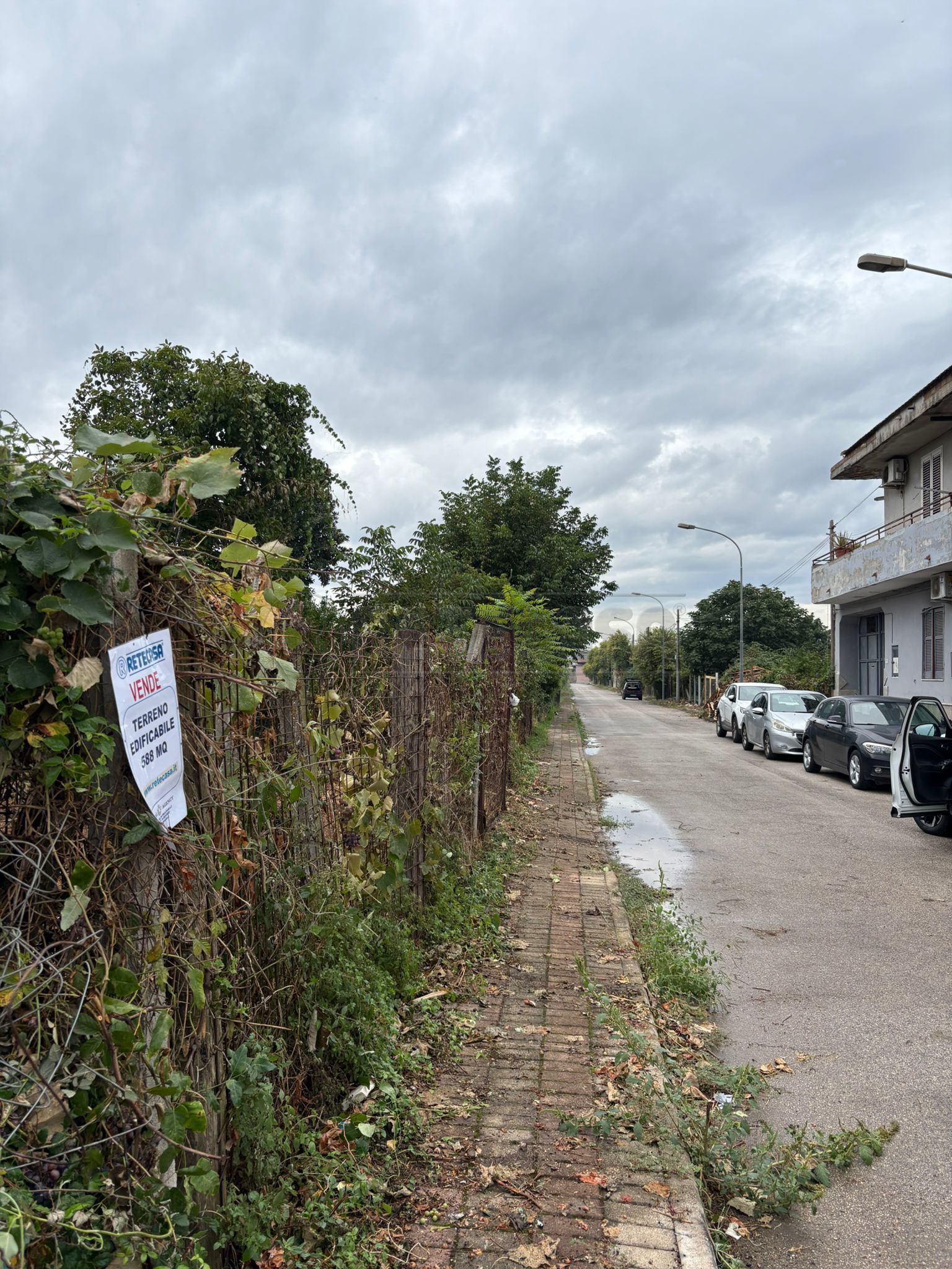 immagine annuncio 5 di 6