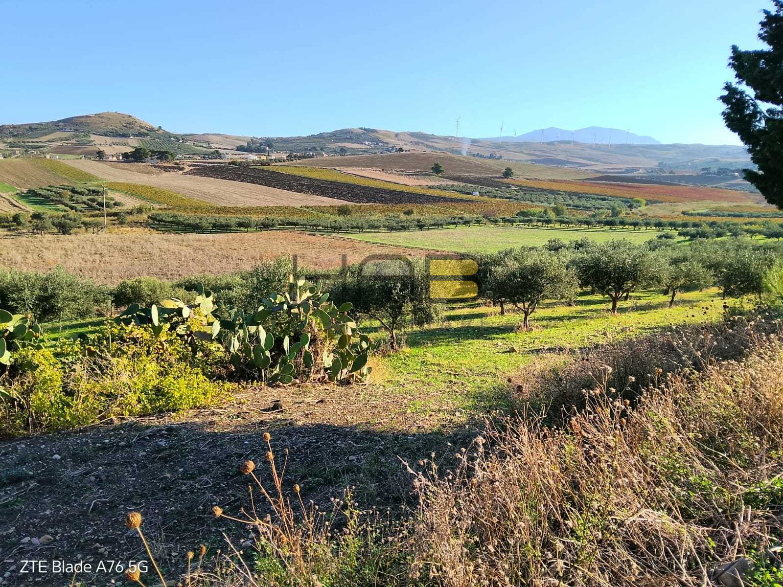 Terreno Agricolo in vendita a Valderice