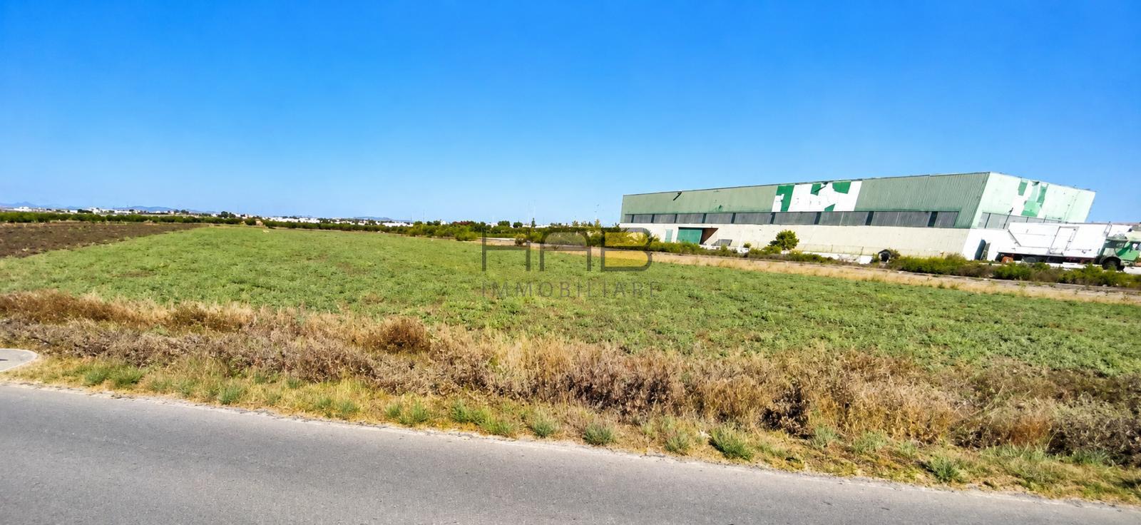 Terreno Agricolo in vendita a Paceco