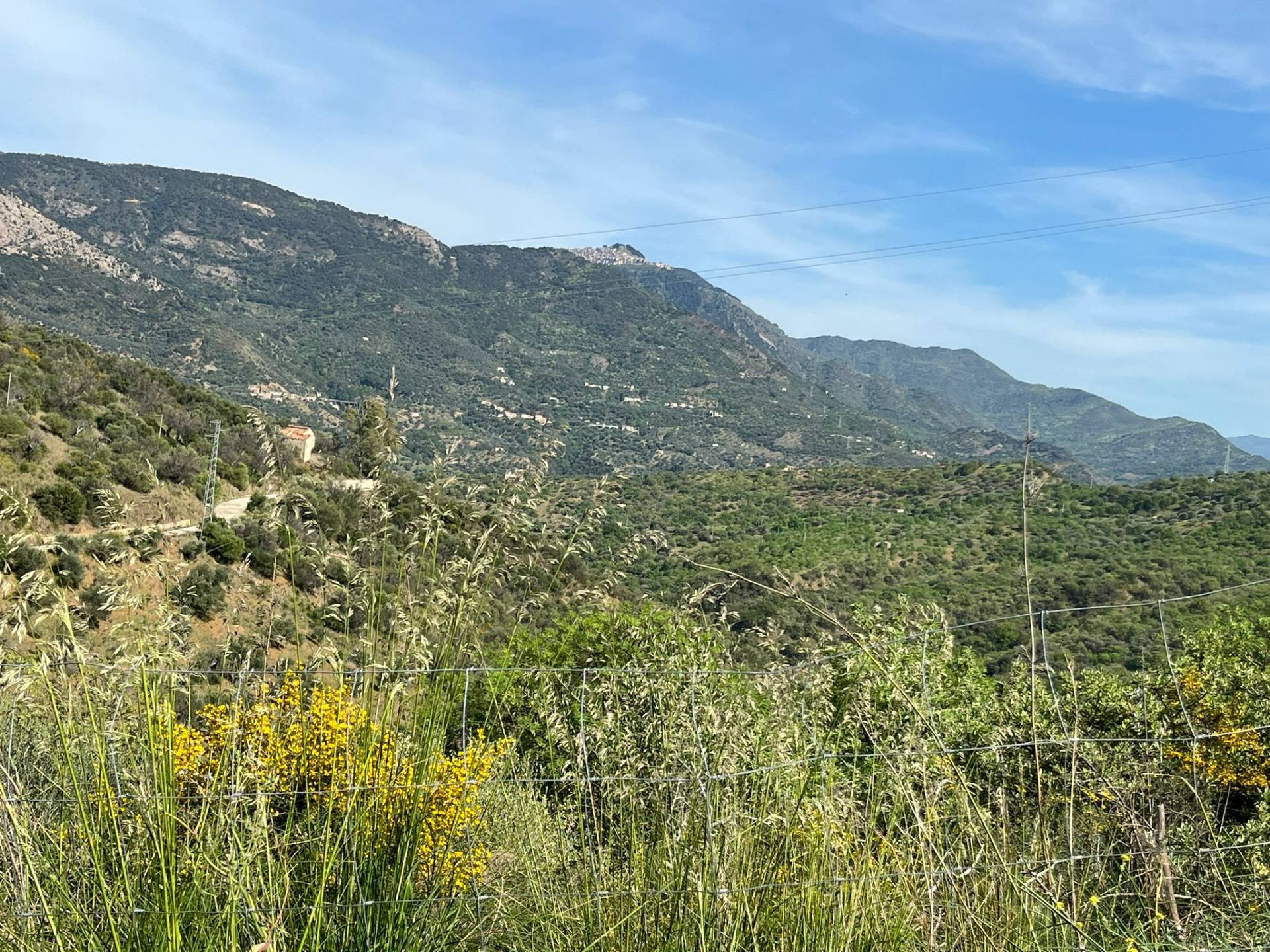 Rustico in vendita a Castelbuono