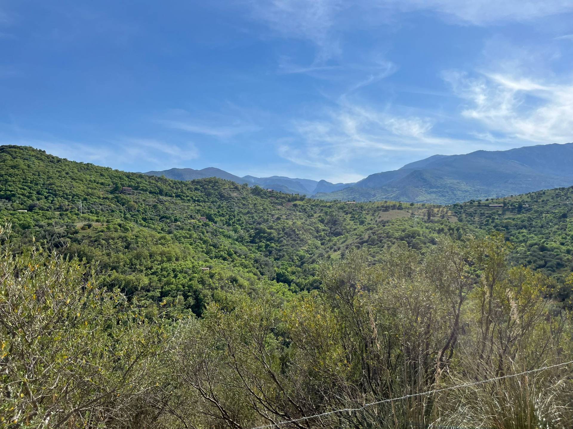 Rustico in vendita a Castelbuono