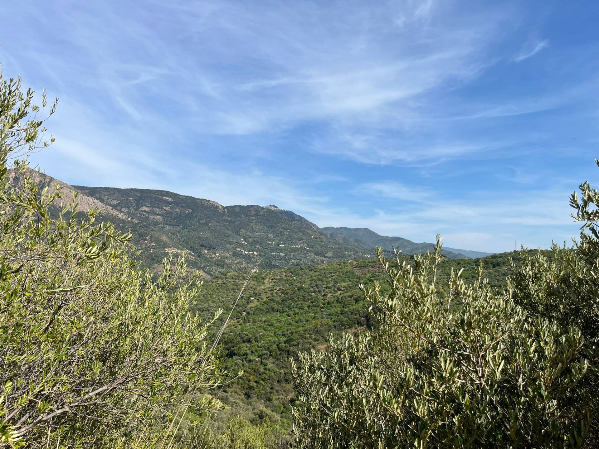 Rustico in vendita a Castelbuono