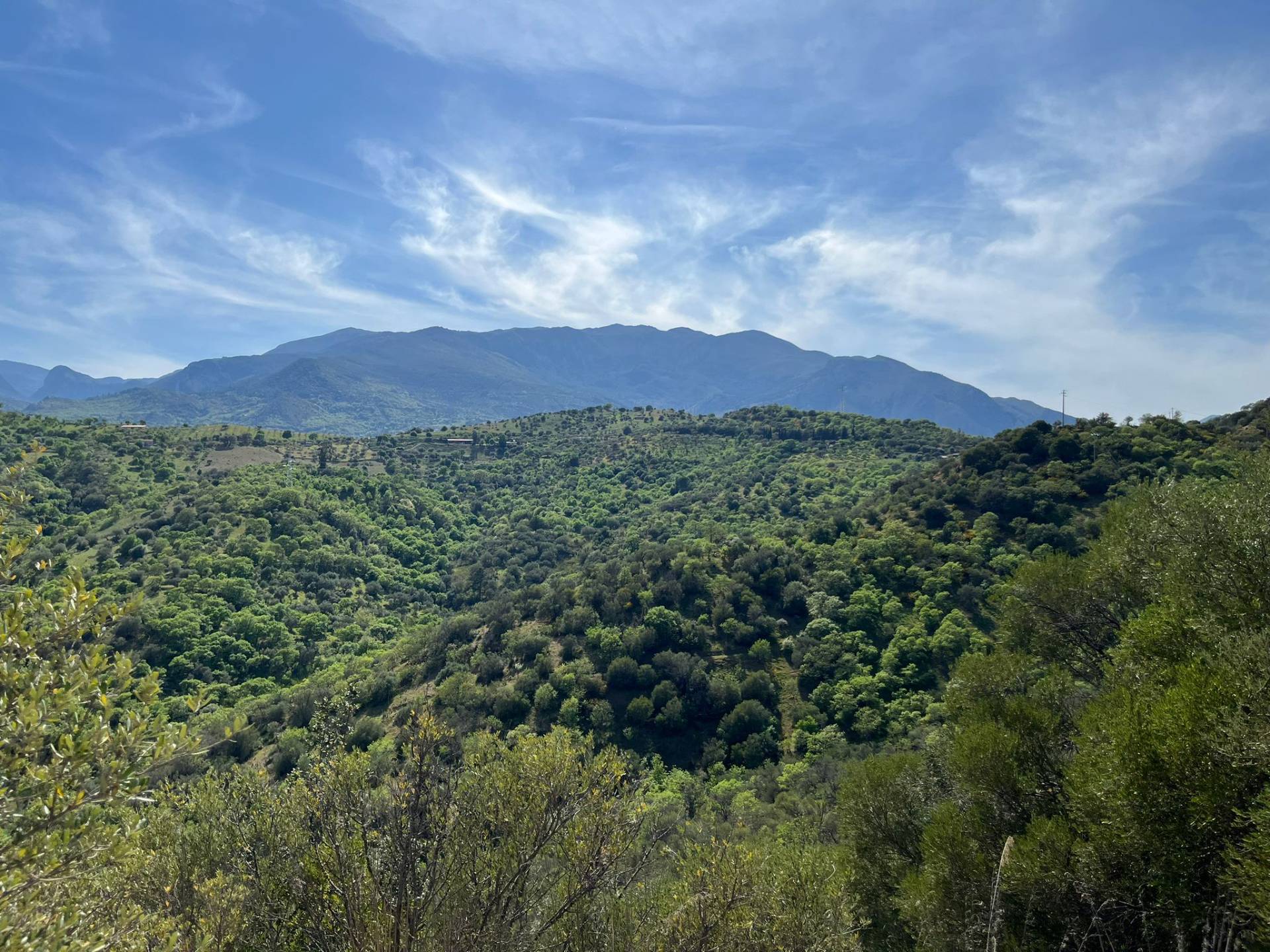Rustico in vendita a Castelbuono