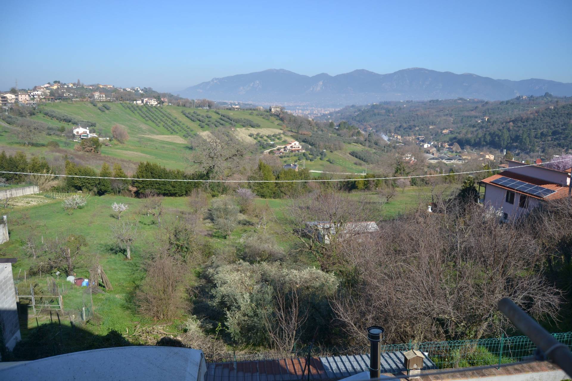 immagine annuncio 1 di 6