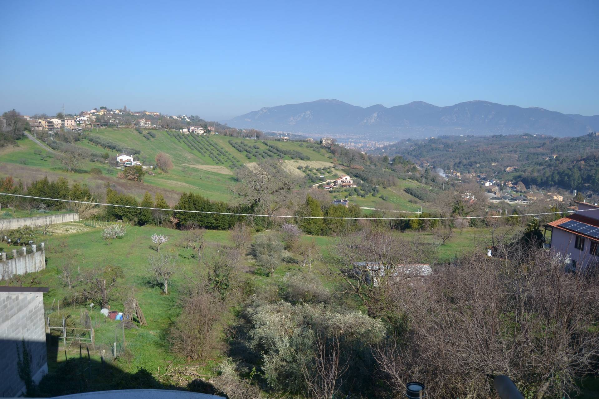 immagine annuncio 2 di 6