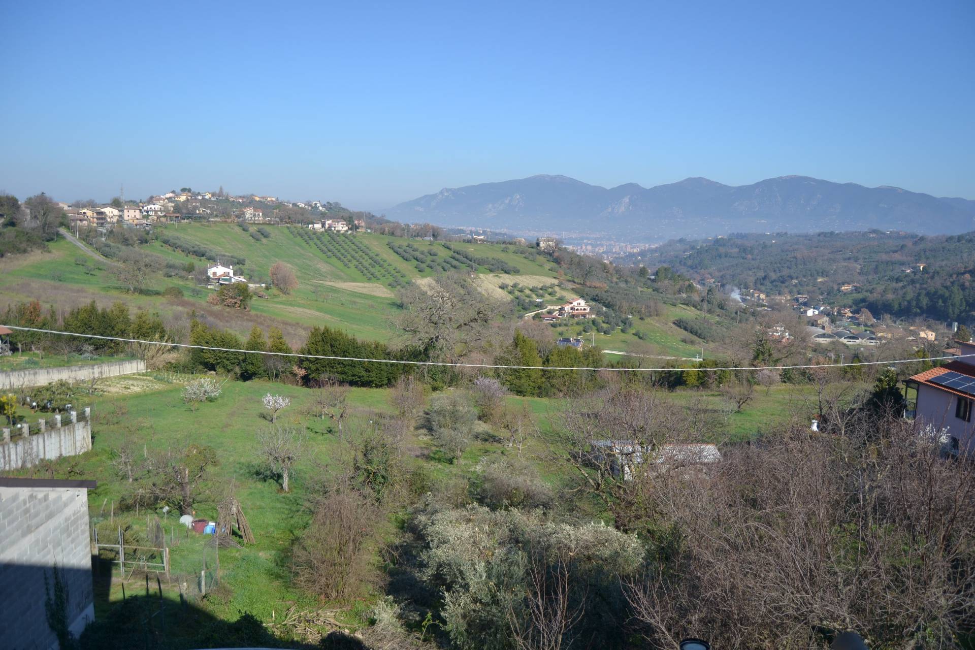 immagine annuncio 3 di 6