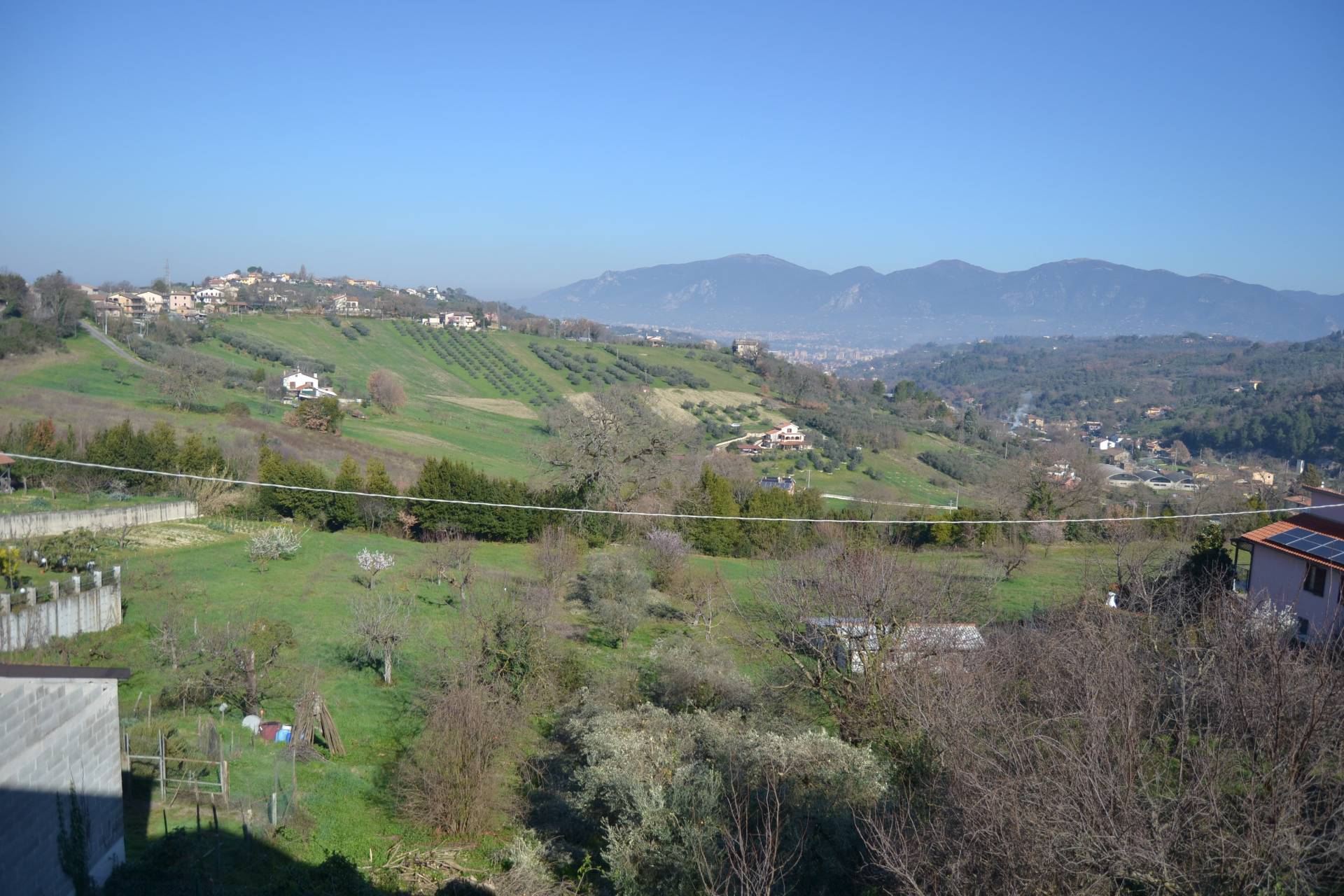 immagine annuncio 4 di 6