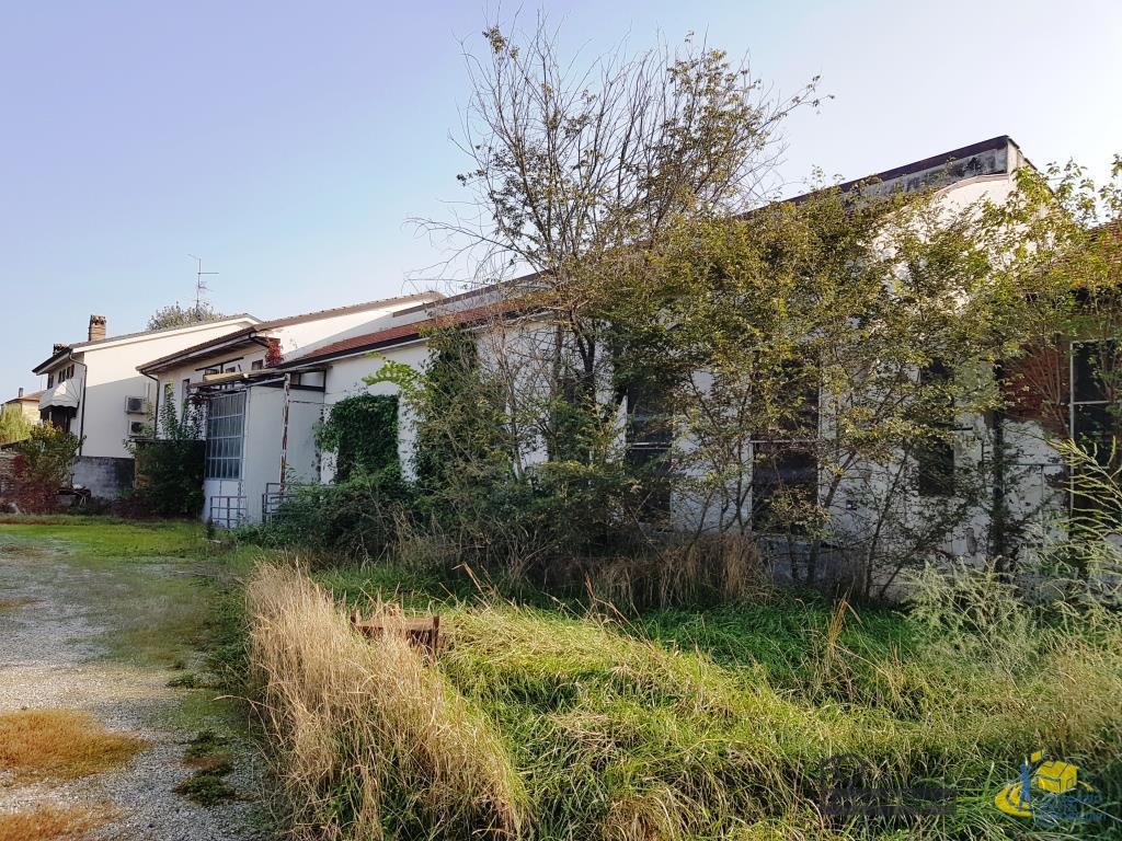 immagine annuncio 2 di 6