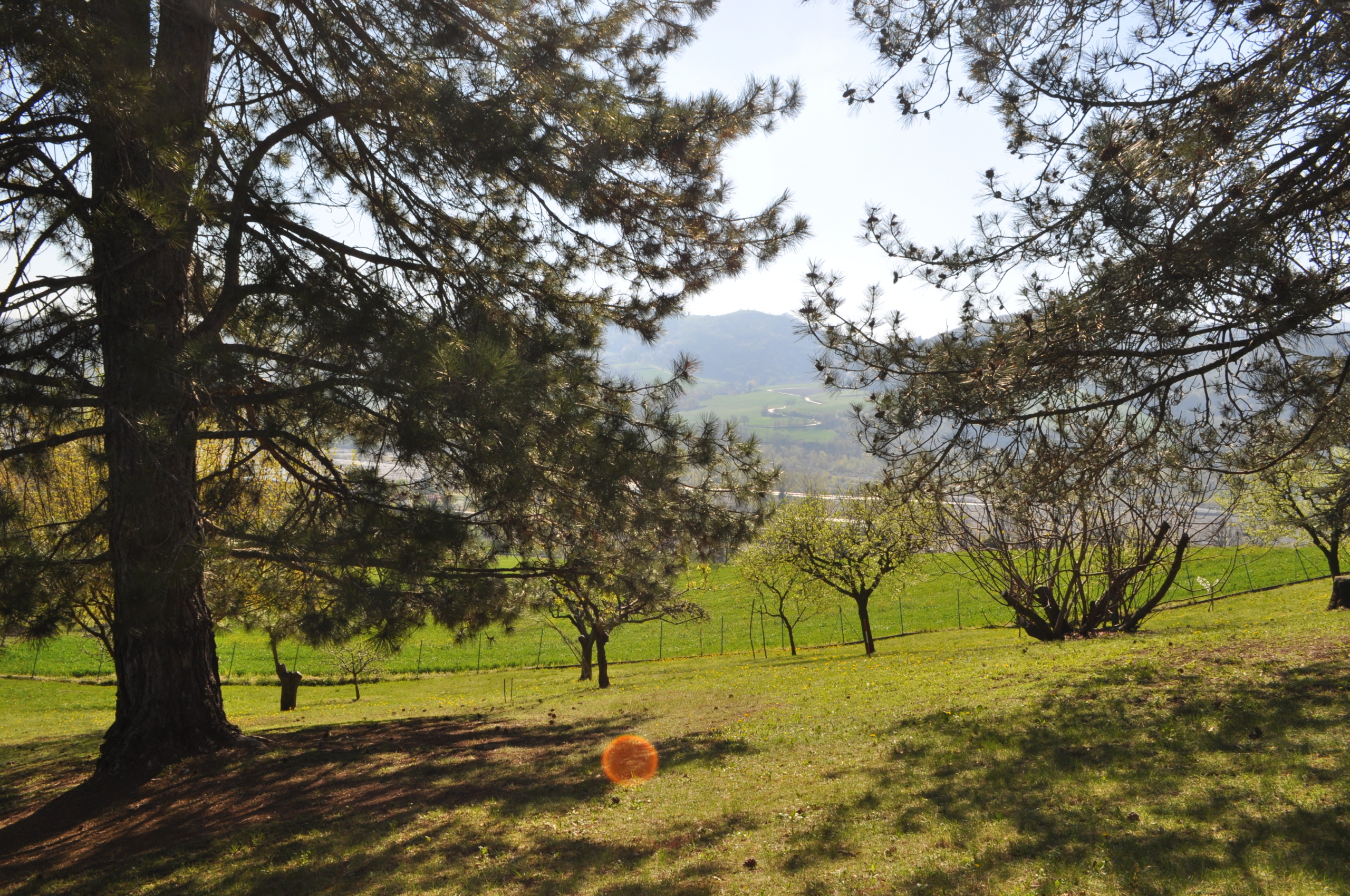 Terreno Edificabile in vendita a Langhirano