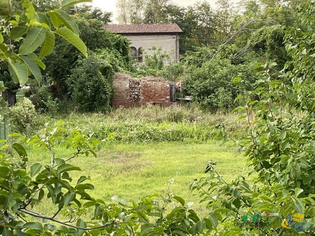 immagine annuncio 3 di 6