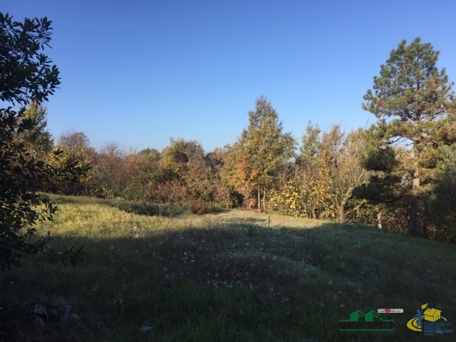 Terreno Agricolo in vendita in loc. bezzo bellini, Medesano