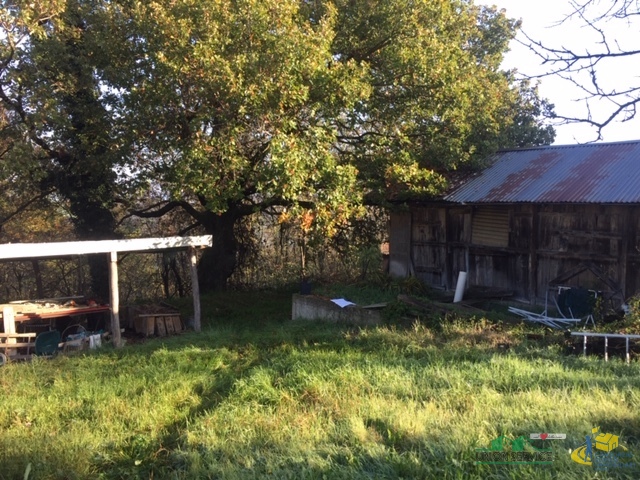 immagine annuncio 2 di 6