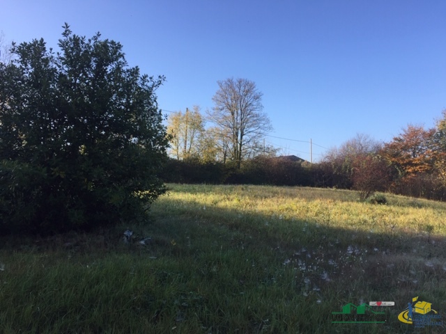 immagine annuncio 3 di 6