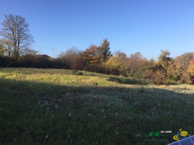 immagine annuncio 4 di 6