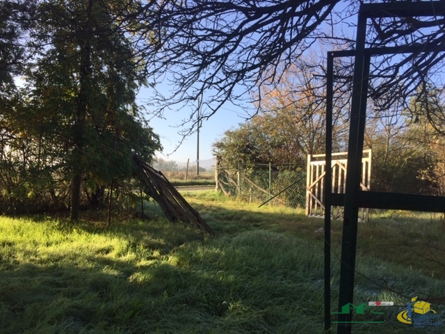 immagine annuncio 5 di 6