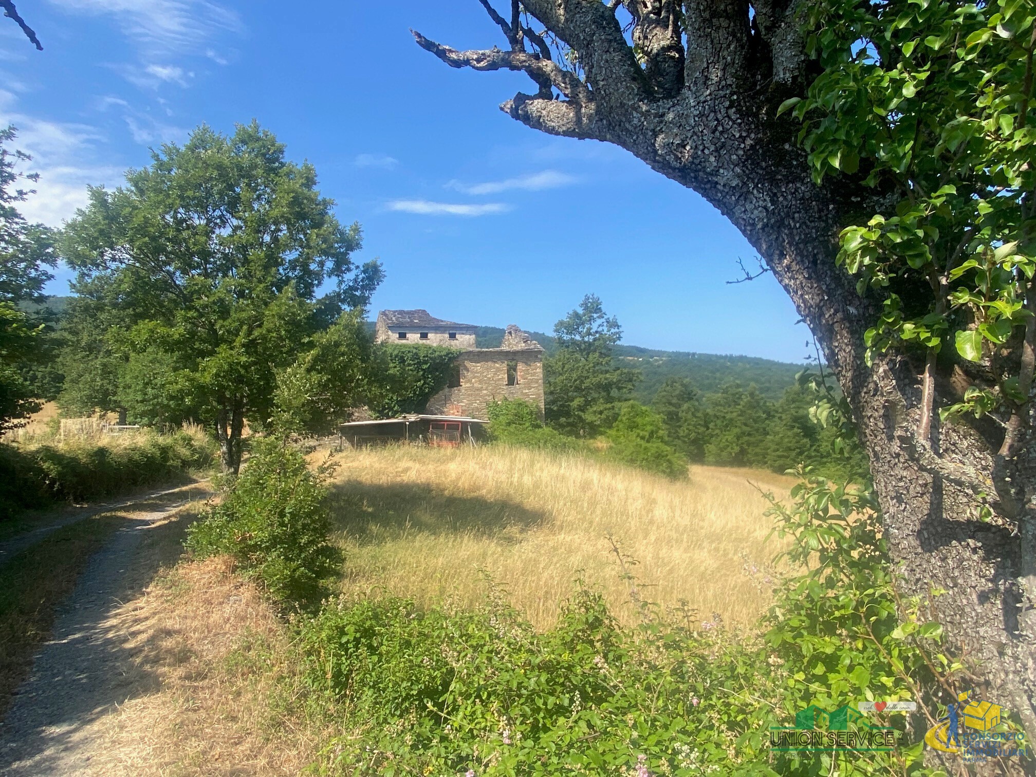Terreno Agricolo da ristrutturare in localit� molinelli 59, Berceto