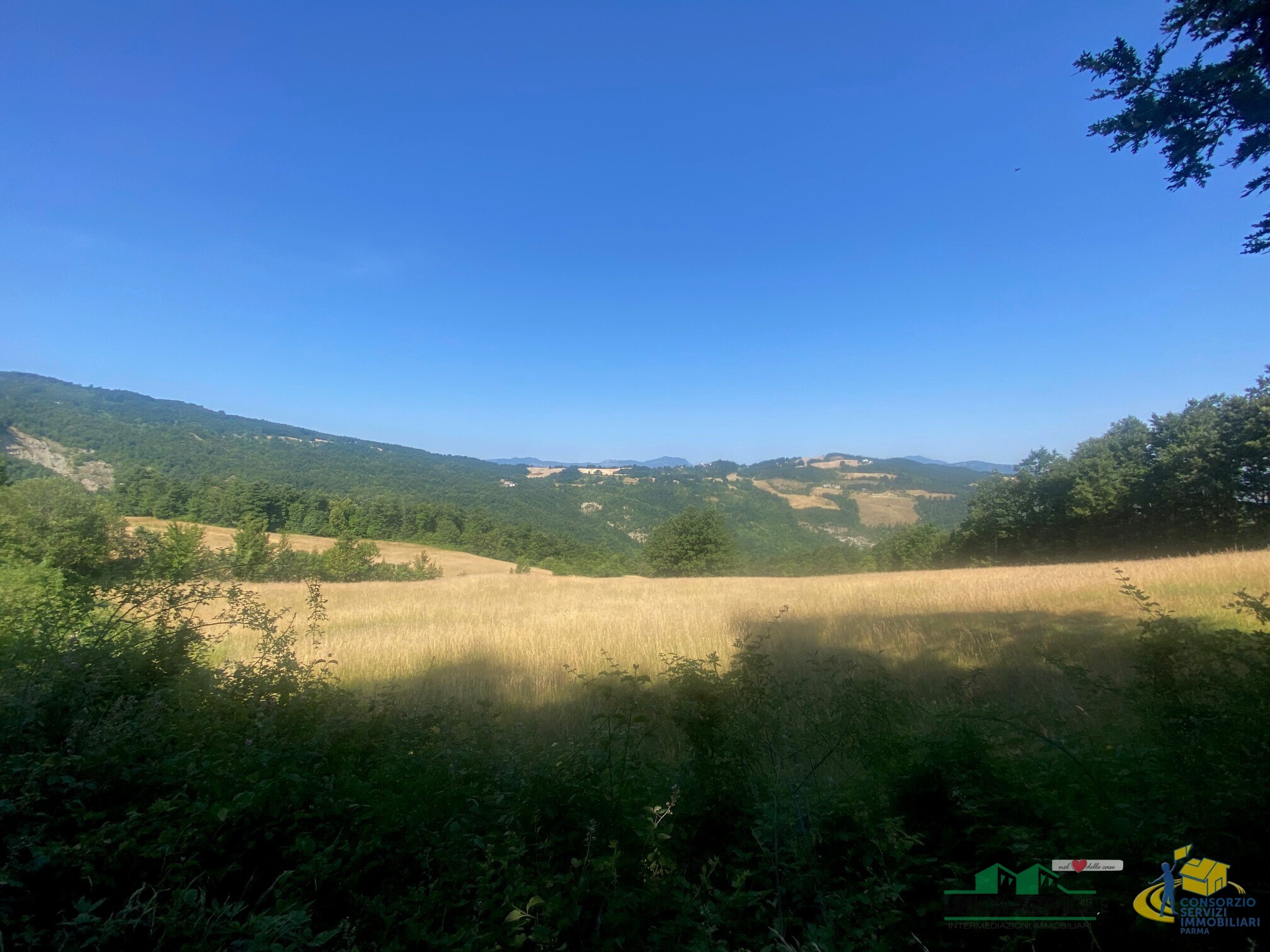 Terreno Agricolo da ristrutturare in localit� molinelli 59, Berceto
