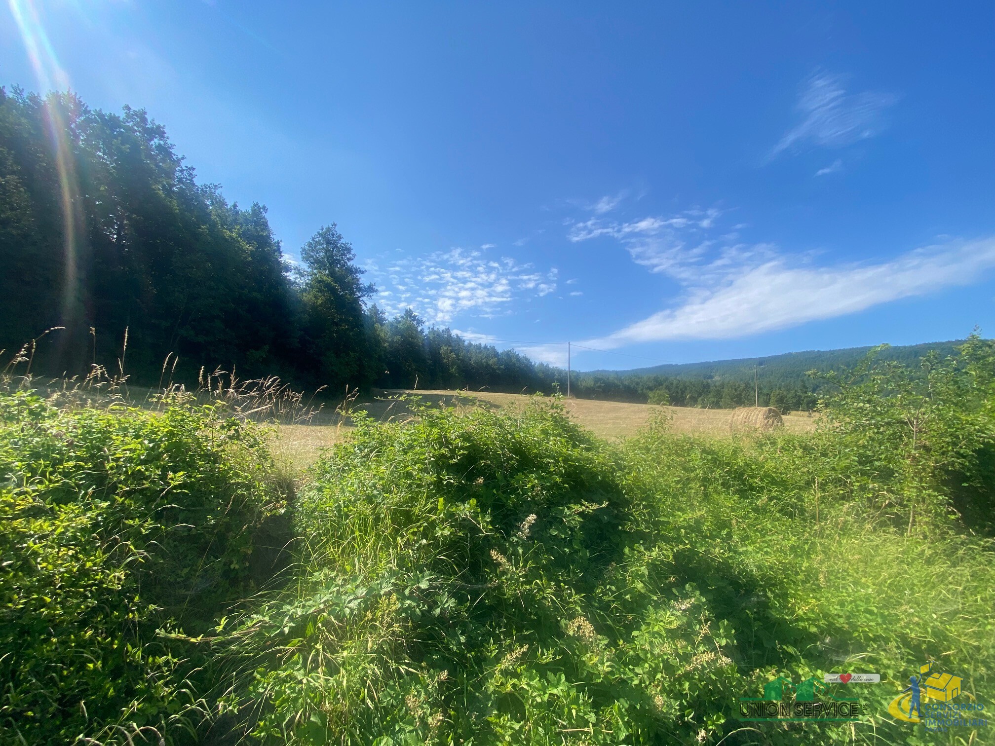 Terreno Agricolo da ristrutturare in localit� molinelli 59, Berceto