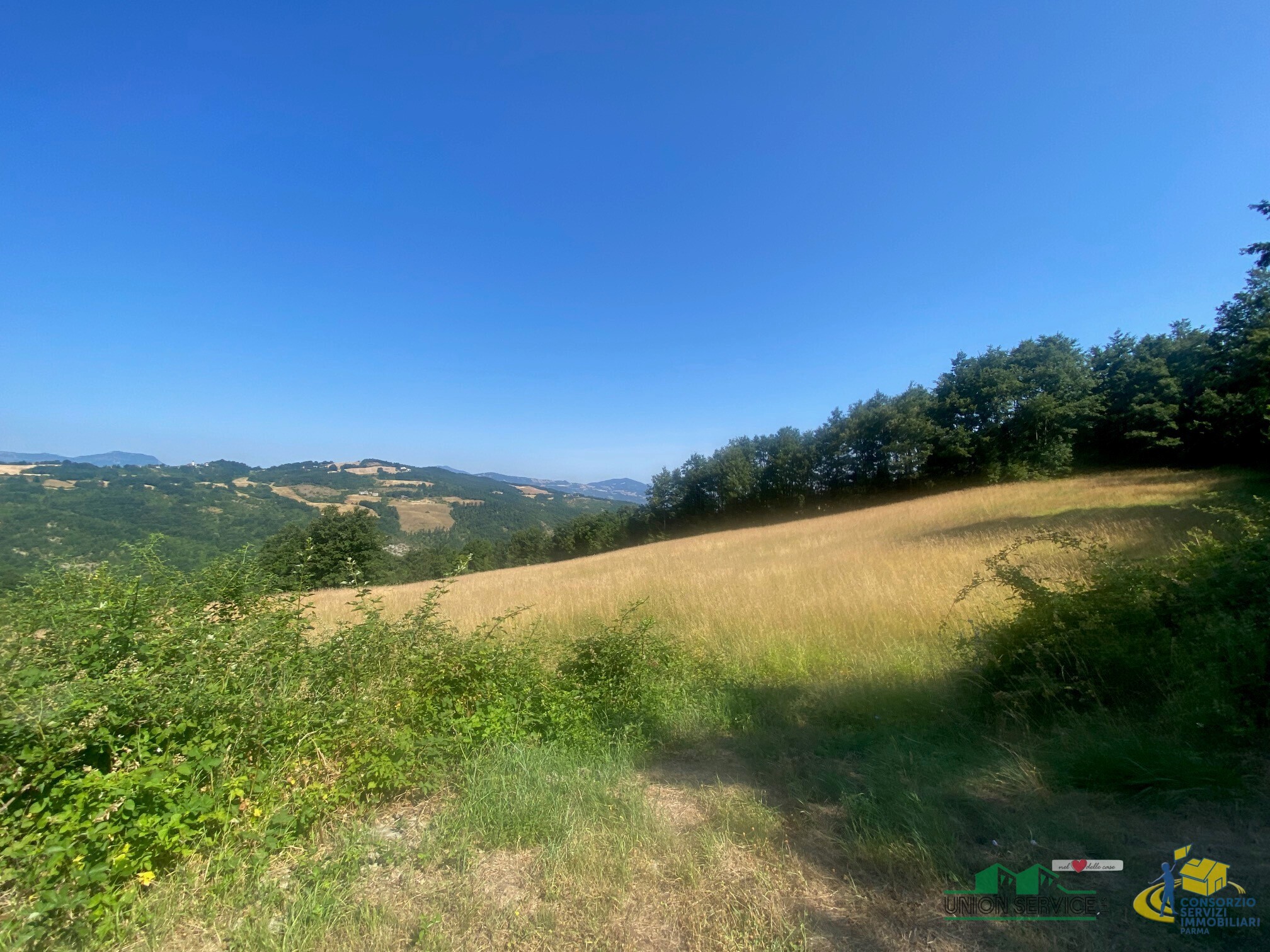 Terreno Agricolo da ristrutturare in localit� molinelli 59, Berceto