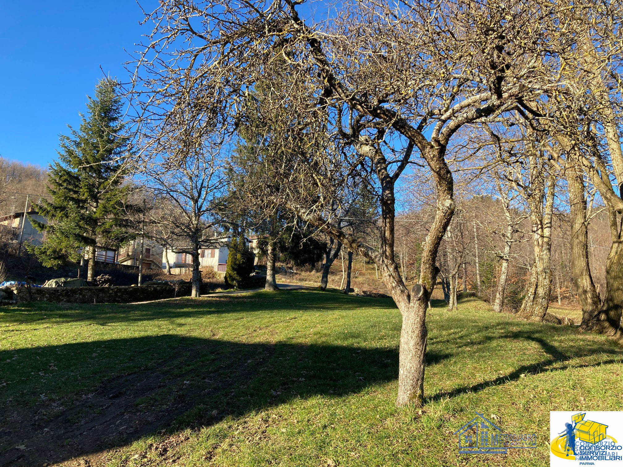 Quadrilocale da ristrutturare a Monchio delle Corti