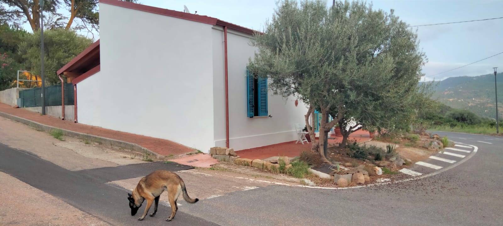 Casa singola in vendita a Viddalba