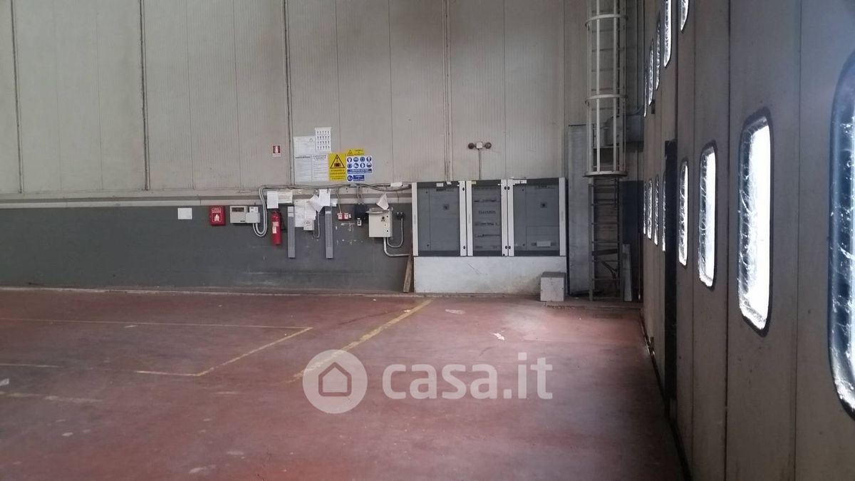 Capannone in affitto a Collesalvetti